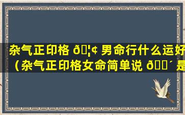 杂气正印格 🦢 男命行什么运好（杂气正印格女命简单说 🐴 是什么样的）